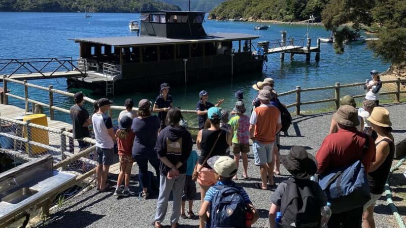 Queen Charlotte Sound: Lochmara Cruise and Explore 9-4 - Marine Life and Water-Based Activities