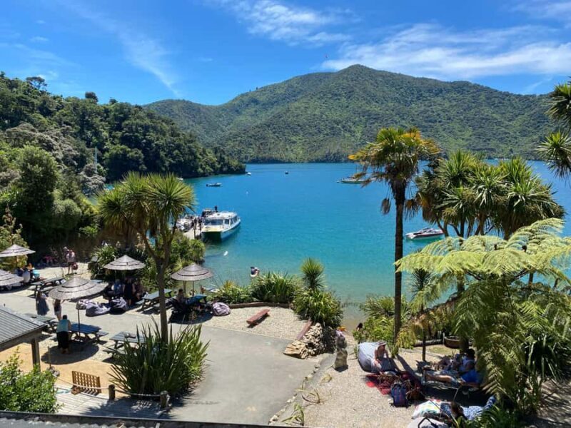 Queen Charlotte Sound: Lochmara Cruise & Explore 9-2.45 - Introduction
