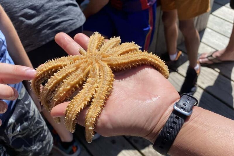 Queen Charlotte Sound: Lochmara Cruise & Explore 9-2.45 - Key Points