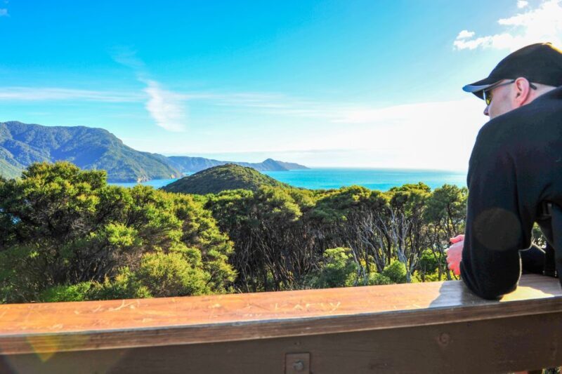 Queen Charlotte Track: Cruise & Self-Guided Hike from Picton - Key Points