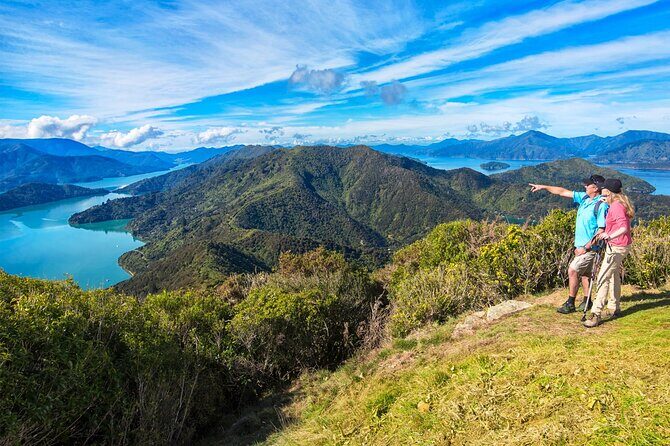 Queen Charlotte Track Self Guided Hike to Eatwells Lookout - The Sum Up