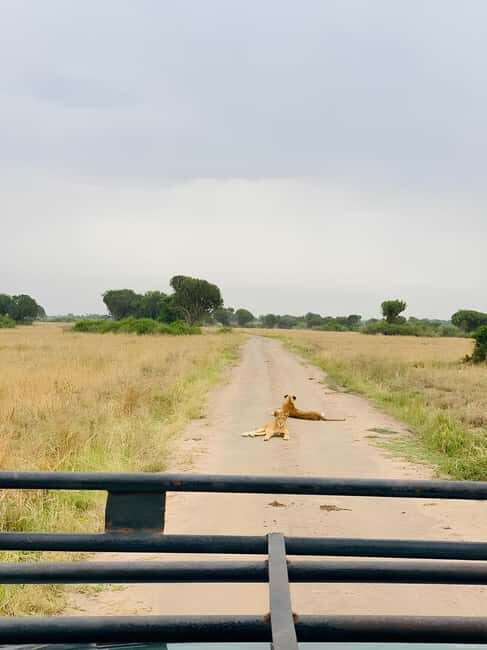 Queen Elizabeth National Park 3-Day Trip from Kampala - Key Points