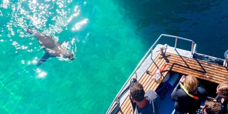 Queenscliff: 1.5hr Harbour Wildlife Sightseeing Cruise Tour - In The Sum Up