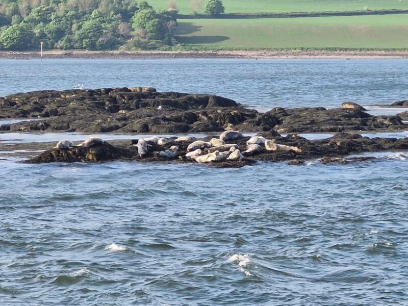 queensferry-sightseeing-cruise-to-inchcolm-island
