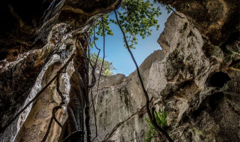 Queensland: 90 Minute Capricorn Caves Explorer Tour - Exploring the Capricorn Caves: A Closer Look