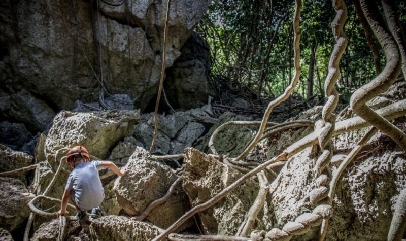 Queensland: 90 Minute Capricorn Caves Explorer Tour - Who Should Consider This Tour?