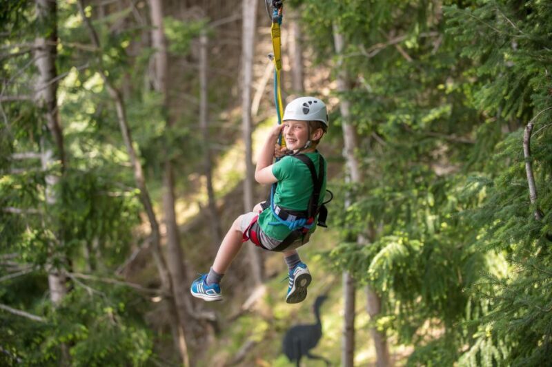 Queenstown: 2-Hour Zipline Tour with 4-Lines - Key Points