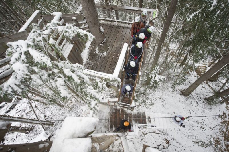 Queenstown: 2-Hour Zipline Tour with 4-Lines - Who Should Consider This Tour?