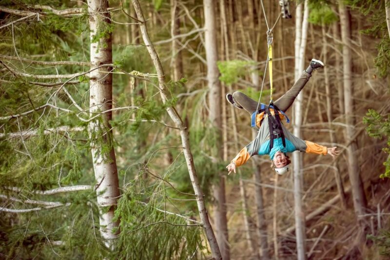 Queenstown: 3-Hour Zipline Adventure with 6-Lines - Who Will Love This Tour?