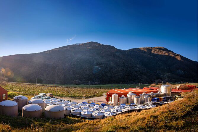 Queenstown Afternoon Wine Tour | Adults Only - Who Should Book This Tour?