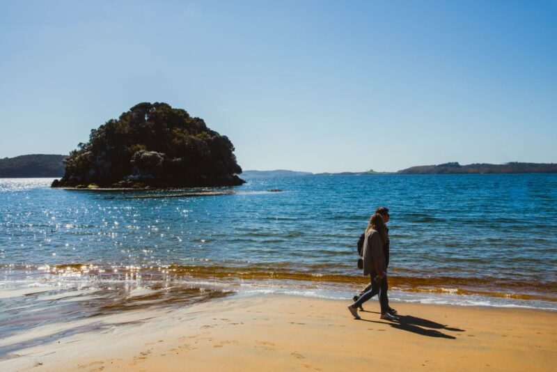 Queenstown: Day Trip to Stewart Island via Scenic Flight - Key Points