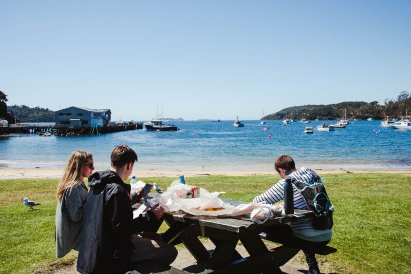 Queenstown: Day Trip to Stewart Island via Scenic Flight - An Overview of the Experience