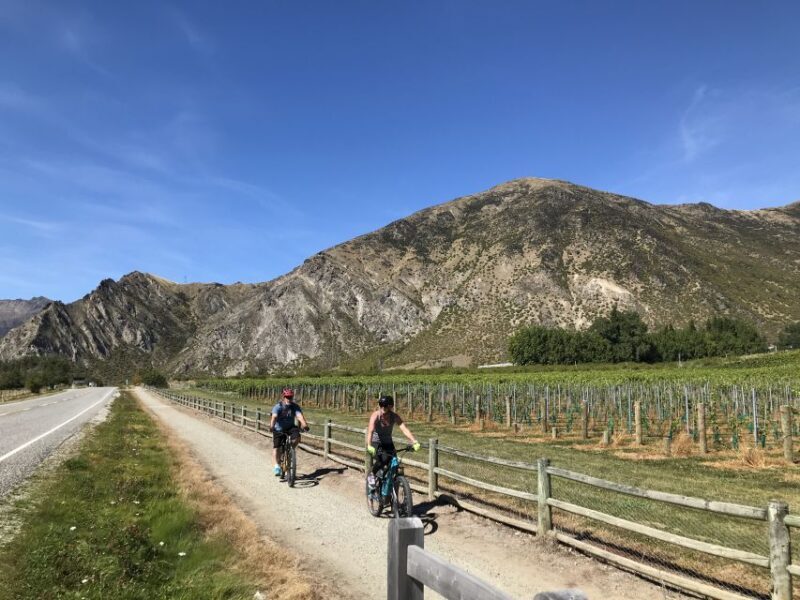 Queenstown: Guided E-Bike Tour with Winery Visits & Tastings - Key Points