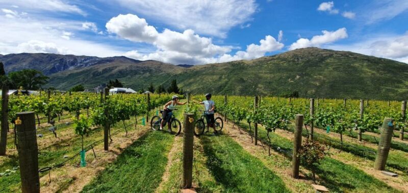 Queenstown: Guided E-Bike Tour with Winery Visits & Tastings - Who Will Love This Tour?