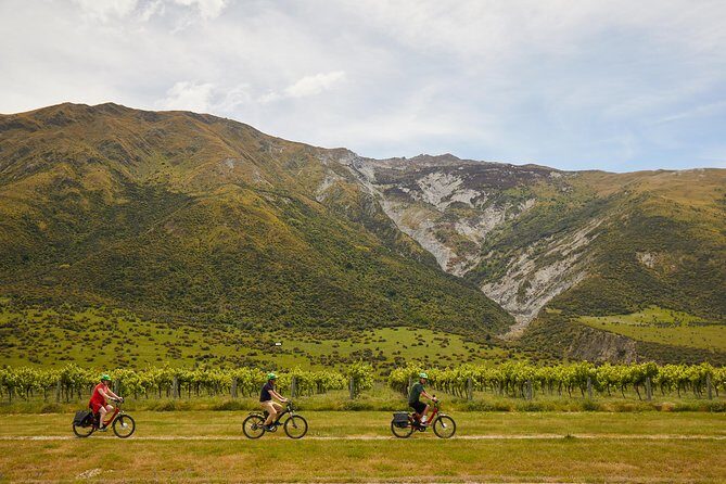 Queenstown Guided E-bike Wine Tour - An In-depth Look at the Queenstown Guided E-bike Wine Tour