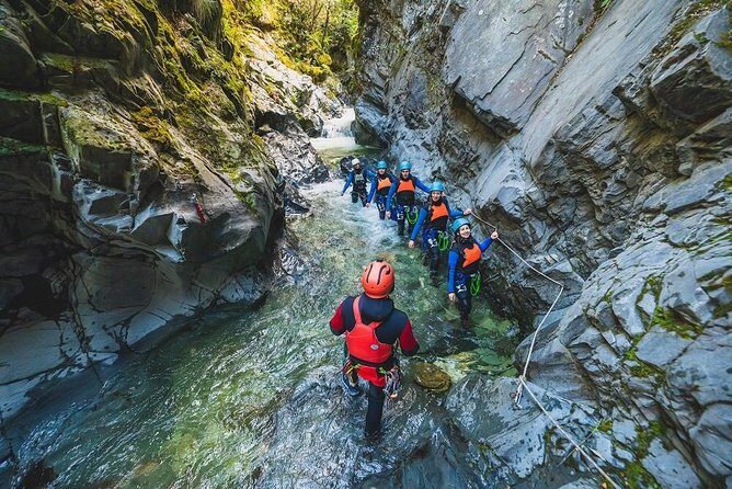 Queenstown Half-Day Canyoning Adventure - What the Reviews Reveal: Authentic Insights
