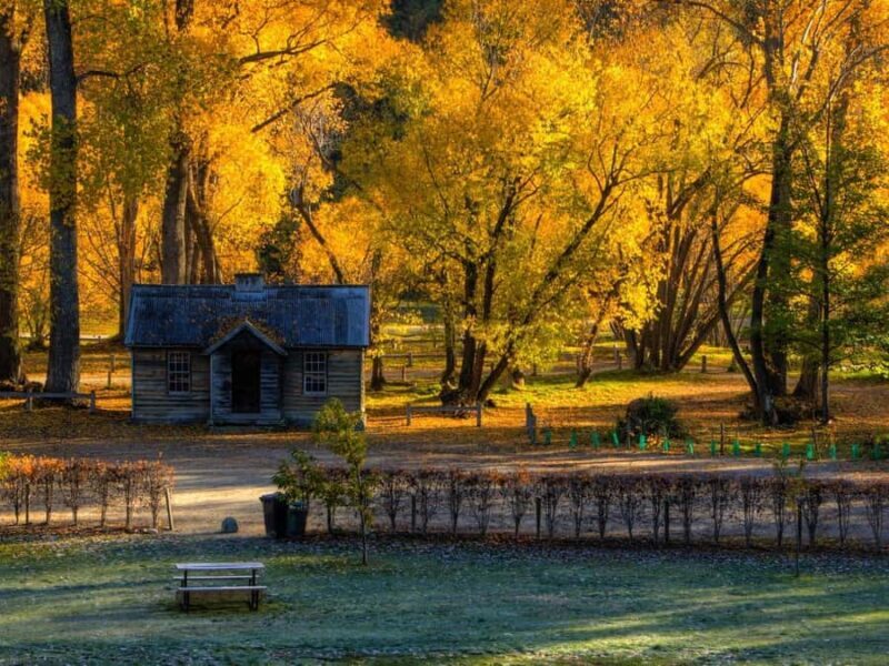 Queenstown: Highlights Tour with Wine Tasting - The Sum Up: Who Will Love This Tour?