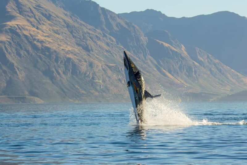 Queenstown: Hydro Attack Shark Ride - What to Expect from the Hydro Attack Shark Ride