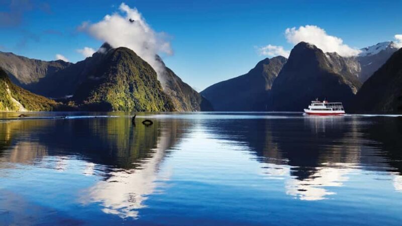 Queenstown: Milford Sound Day Trip - Cruise & Picnic Lunch - What Sets This Tour Apart?