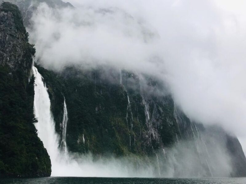 Queenstown: Milford Sound Small-Group Tour w Cruise & Lunch - What Reviewers Say
