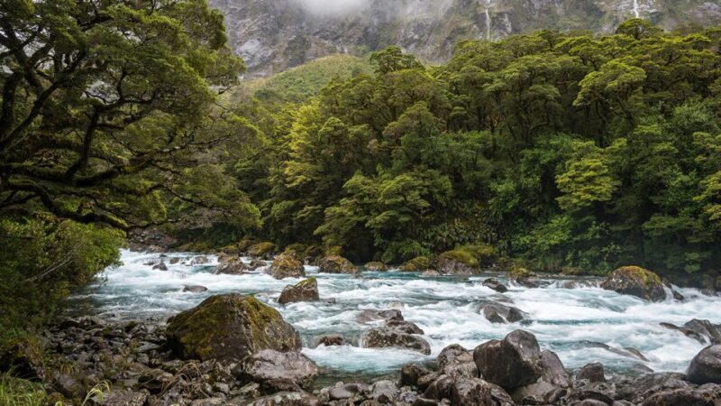 Queenstown: Milford Sound Small-Group Tour w Cruise & Lunch - FAQ