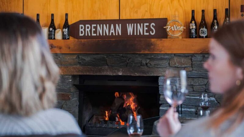 Queenstown: Premium Wine Tasting Tour - Key Points