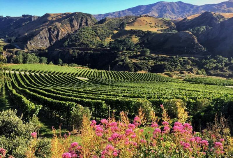 Queenstown: Premium Wine Tasting Tour - Final Verdict