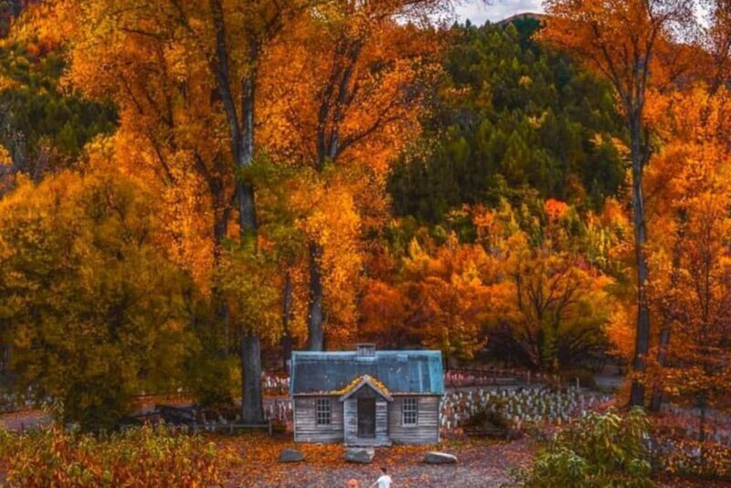 Queenstown: Private Arrowtown and Wanaka Return Day Trip - Who Will Love This Tour?