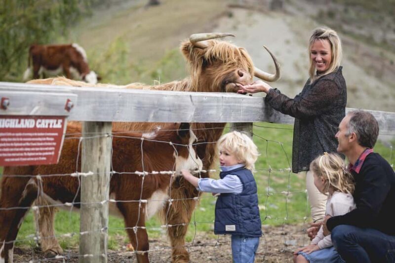 Queenstown: Queenstown Lake Cruise and Walter Peak Farm Tour - Key Points