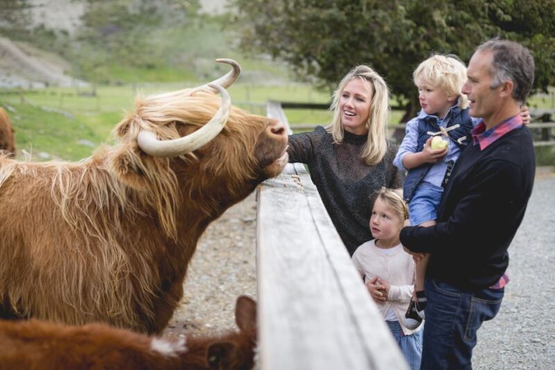 Queenstown: Queenstown Lake Cruise and Walter Peak Farm Tour - Practical Details
