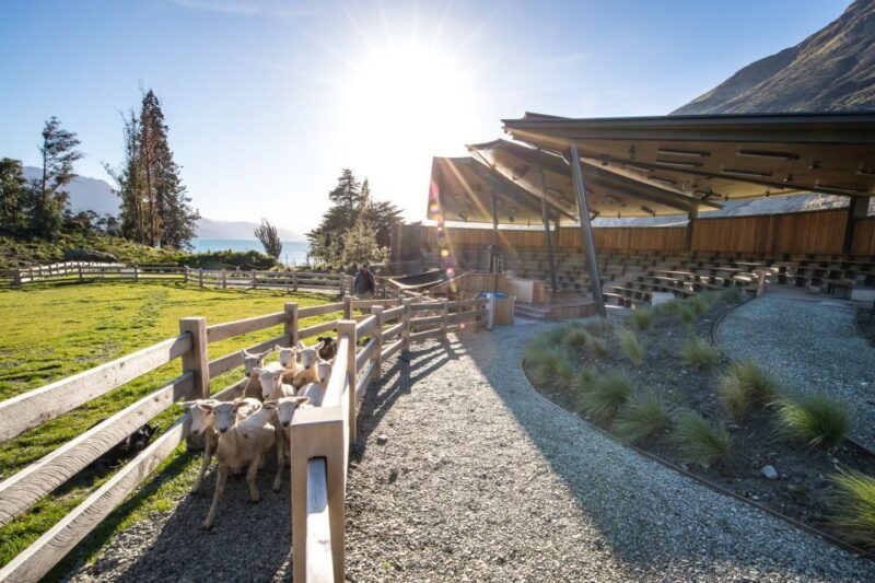 Queenstown: Queenstown Lake Cruise and Walter Peak Farm Tour - Final Words