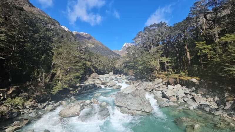 Queenstown: Routeburn Track Guided Full-Day Walk or Half Day - Key Points