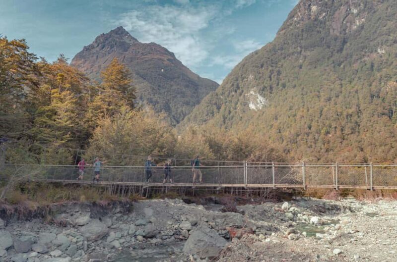 Queenstown: Routeburn Track Guided Full-Day Walk or Half Day - Value and Pricing