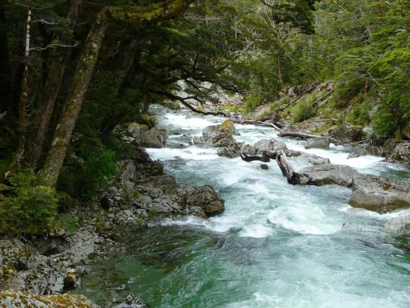 Queenstown: Routeburn Track Guided Full-Day Walk or Half Day - Final Thoughts