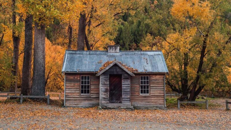 Queenstown: Scenic Tour to Wanaka via Cardrona & Cromwell - Key Points