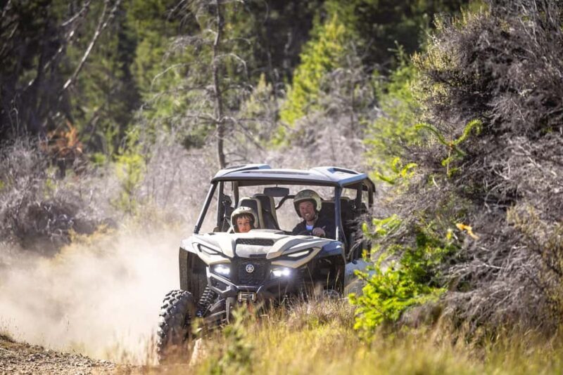 Queenstown: Self Drive Guided Buggy Tour - What to Expect from the Queenstown Buggy Tour