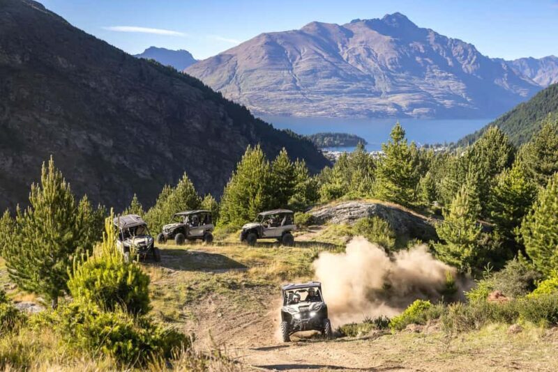 Queenstown: Self Drive Guided Buggy Tour - What Reviewers Say