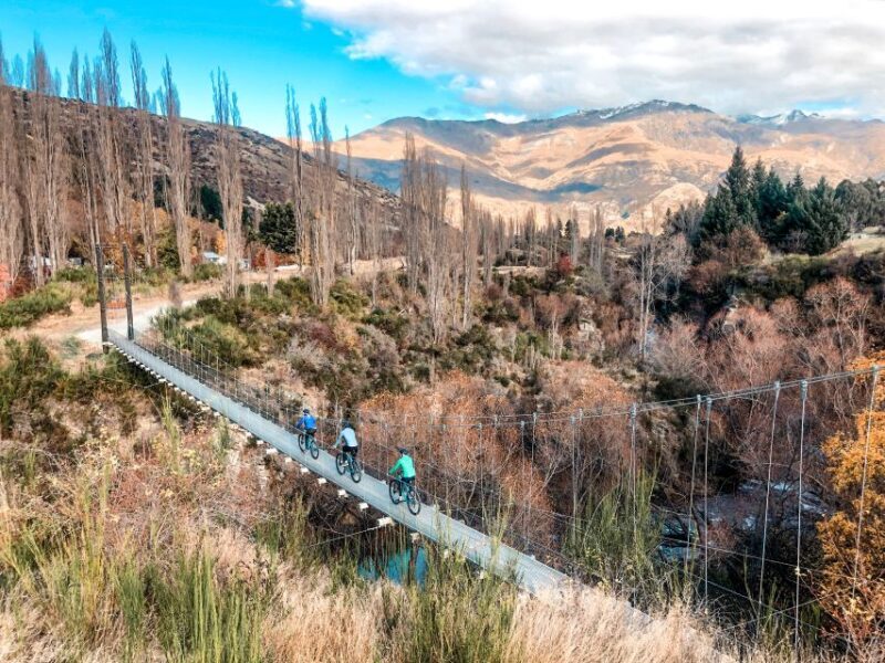 Queenstown: Self-Guided Gibbston Valley Wineries Bike Tour - What to Expect from the Gibbston Valley Bike Tour