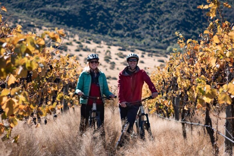 Queenstown: Self-Guided Gibbston Valley Wineries Bike Tour - Who Should Try This?