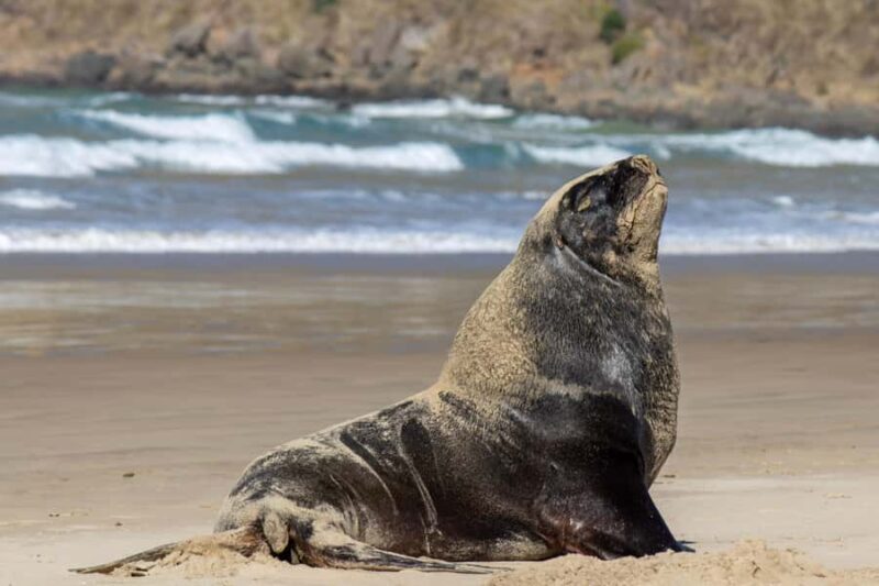 Queenstown: Southern Highlights  3 Days & 2 Nights - Who Should Consider This Tour?