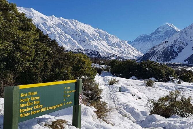 Queenstown to Christchurch One-Way Tour via Mt Cook & Lake Tekapo - Lake Pukaki: A Glimpse of Aoraki