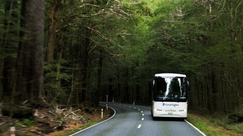 Queenstown to Franz Josef Day Tour - Key Points