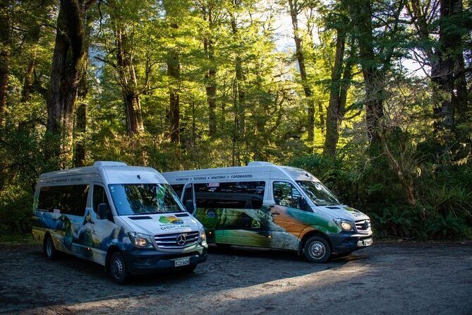 Queenstown to Te Anau via Milford Sound inc Cruise & Lunch - The Overall Experience: What’s Included & What’s Not