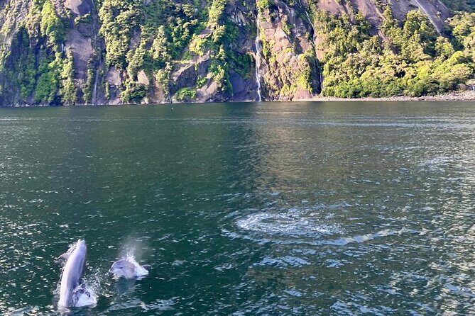 Queenstown to Te Anau via Milford Sound inc Cruise & Lunch - FAQ  