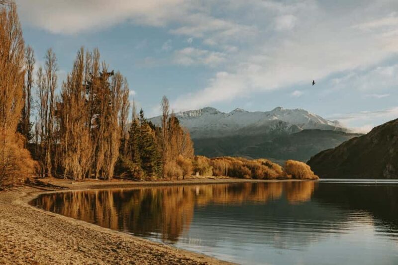 Queenstown to Wnaka One Way Small Group Tour - Key Points