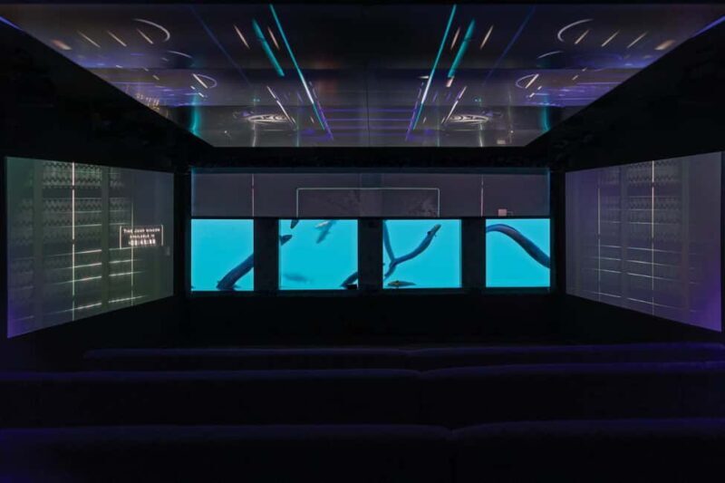 Queenstown: Underwater Theatre Experience Entry Ticket - Authentic Experiences & Guest Feedback