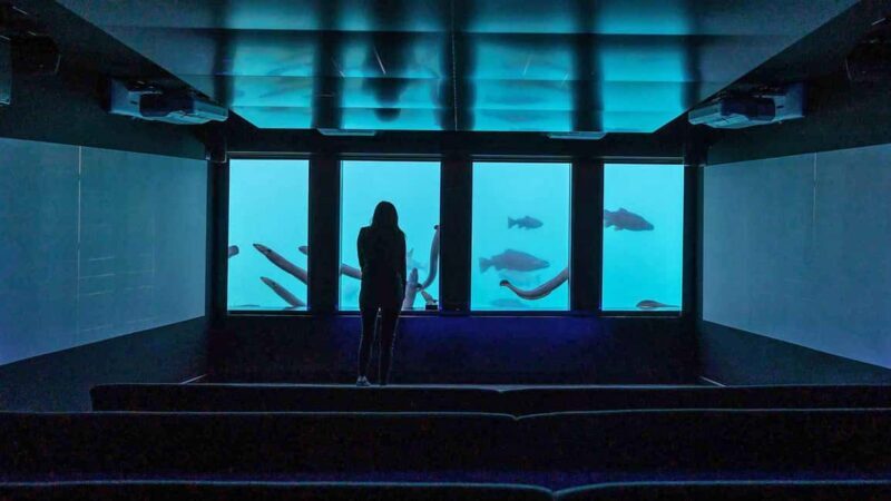 Queenstown: Underwater Theatre Experience Entry Ticket - FAQ