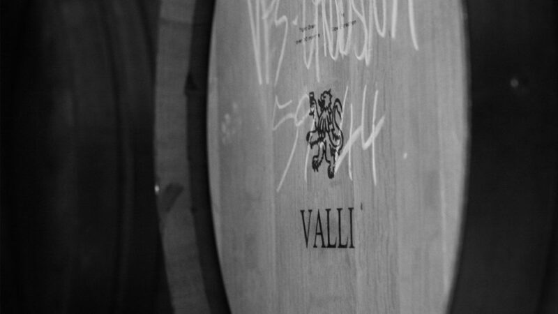 Queenstown: Valli Wine Tasting Experience - Introduction