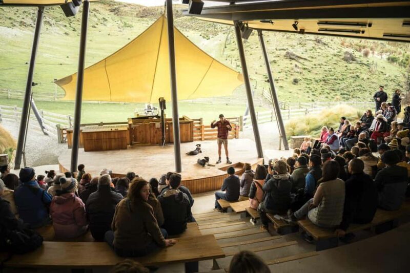 Queenstown: Walter Peak Farm Tour and Lake Cruise - Practical Details and Value