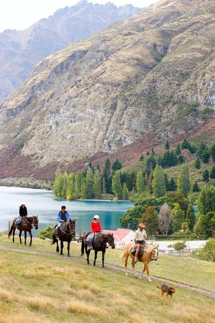 Queenstown: Walter Peak Horse Trek & Queenstown Lake Cruise - Introduction